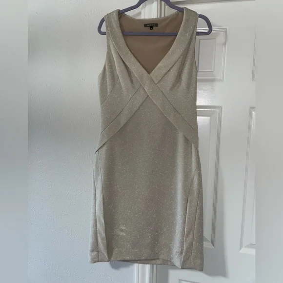 Zac Posen Textured Organza Dress size 10 - Picture 6 of 7